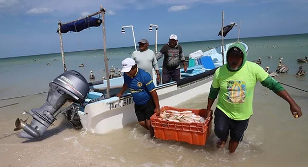 Con AMLO empeoraron los problemas de los pescadores